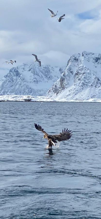 Valberg Gjestegard Exteriör bild